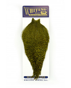 AMERICAN HACKLE GRIZZLY DYED DARK OLIVE