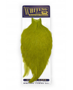 AMERICAN ROOSTER CAPE OLIVE 