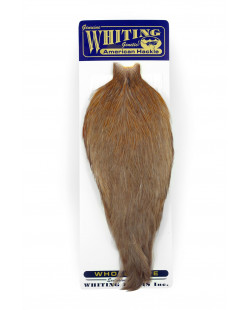 AMERICAN ROOSTER CAPE TAN 