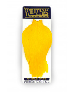 AMERICAN ROOSTER CAPE YELLOW