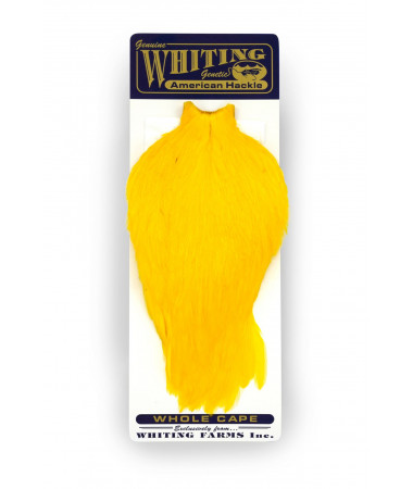 AMERICAN ROOSTER CAPE YELLOW