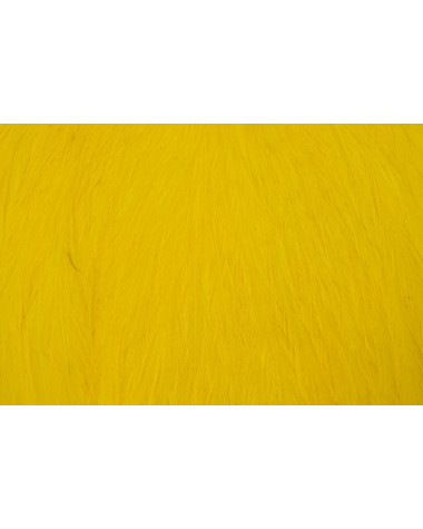 AMERICAN ROOSTER CAPE YELLOW