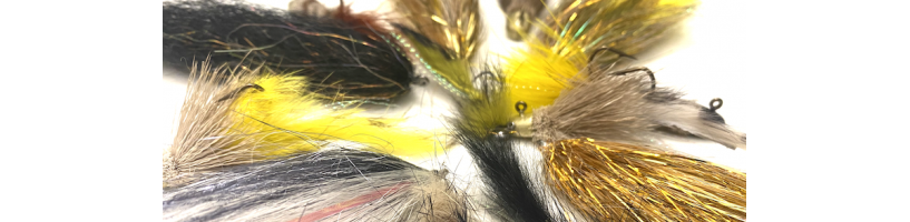 STREAMER