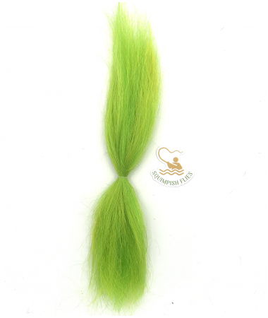 SQUIMPISH FLUO CHARTREUSE