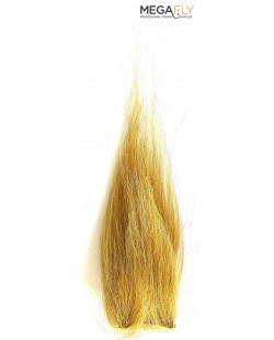 SQUIMPISH GOLD