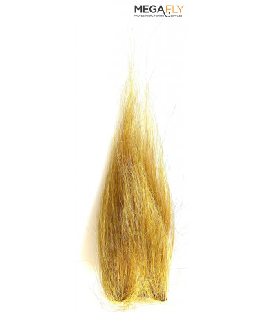 SQUIMPISH GOLD