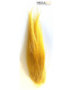 SQUIMPISH SUN YELLOW