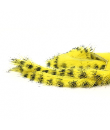 BARRED RABBIT ZONKERS - YELLOW