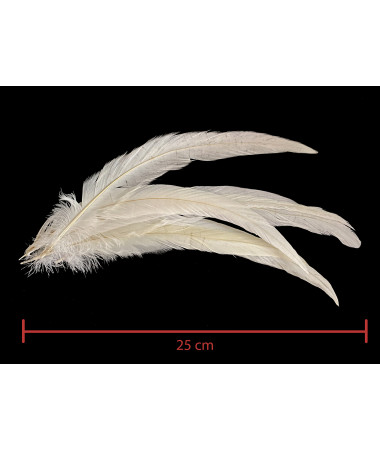 MEGA ROOSTER SADDLE WHITE