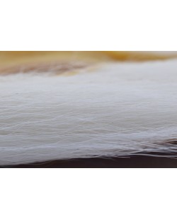 BUCKTAIL WHITE