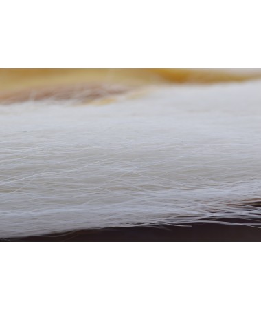 BUCKTAIL WHITE