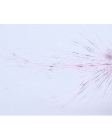 CAPE GRIZZLY DYED SHELL PINK