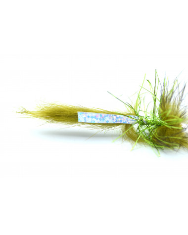 B. HOLO OLIVE 