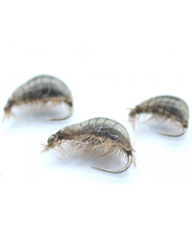 GAMMARUS NAT. GRAY #14