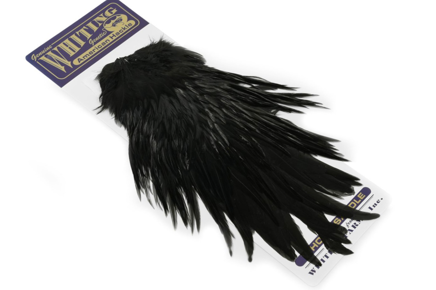 Immagine prodotto: WHITING AMERICAN ROOSTER SADDLE BLACK