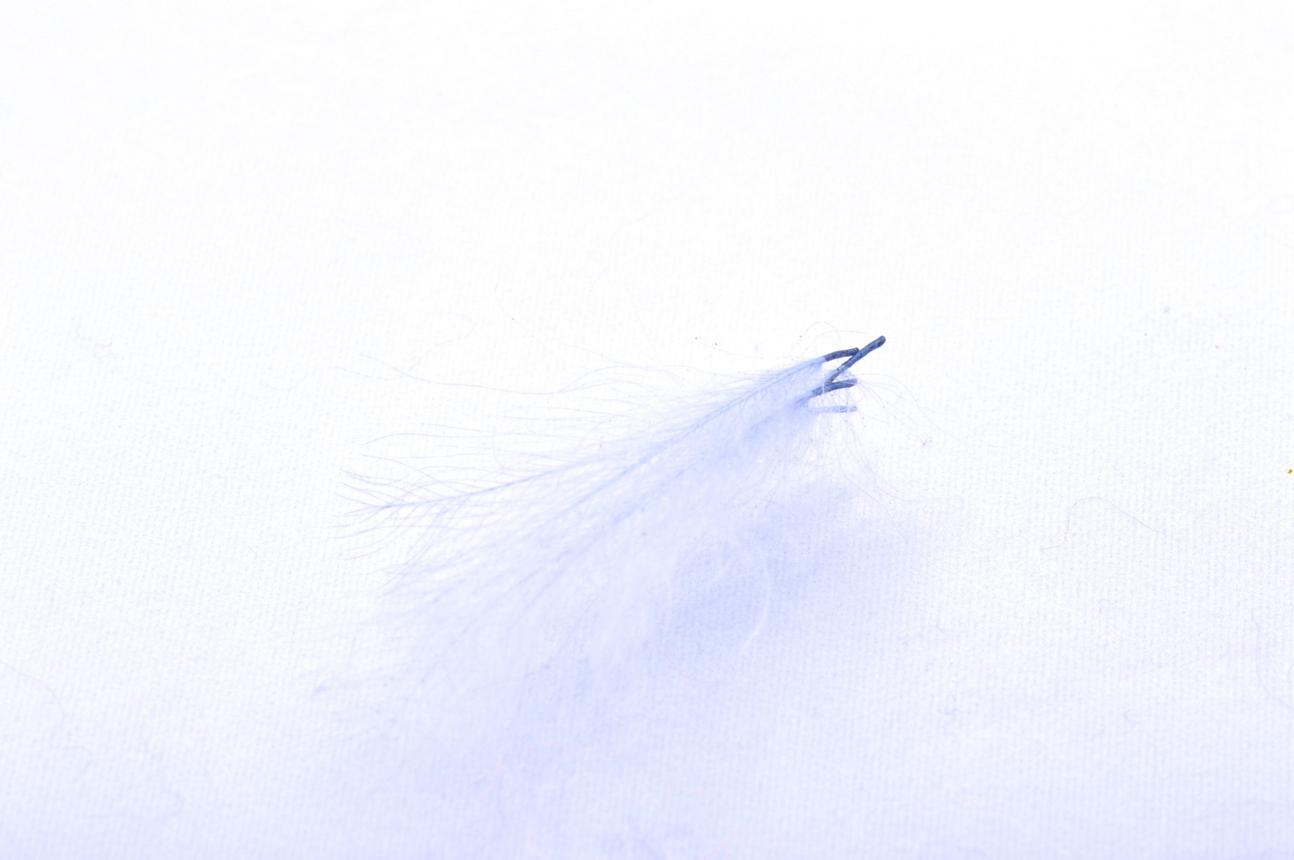 Immagine prodotto: BULK PACK C.D.C