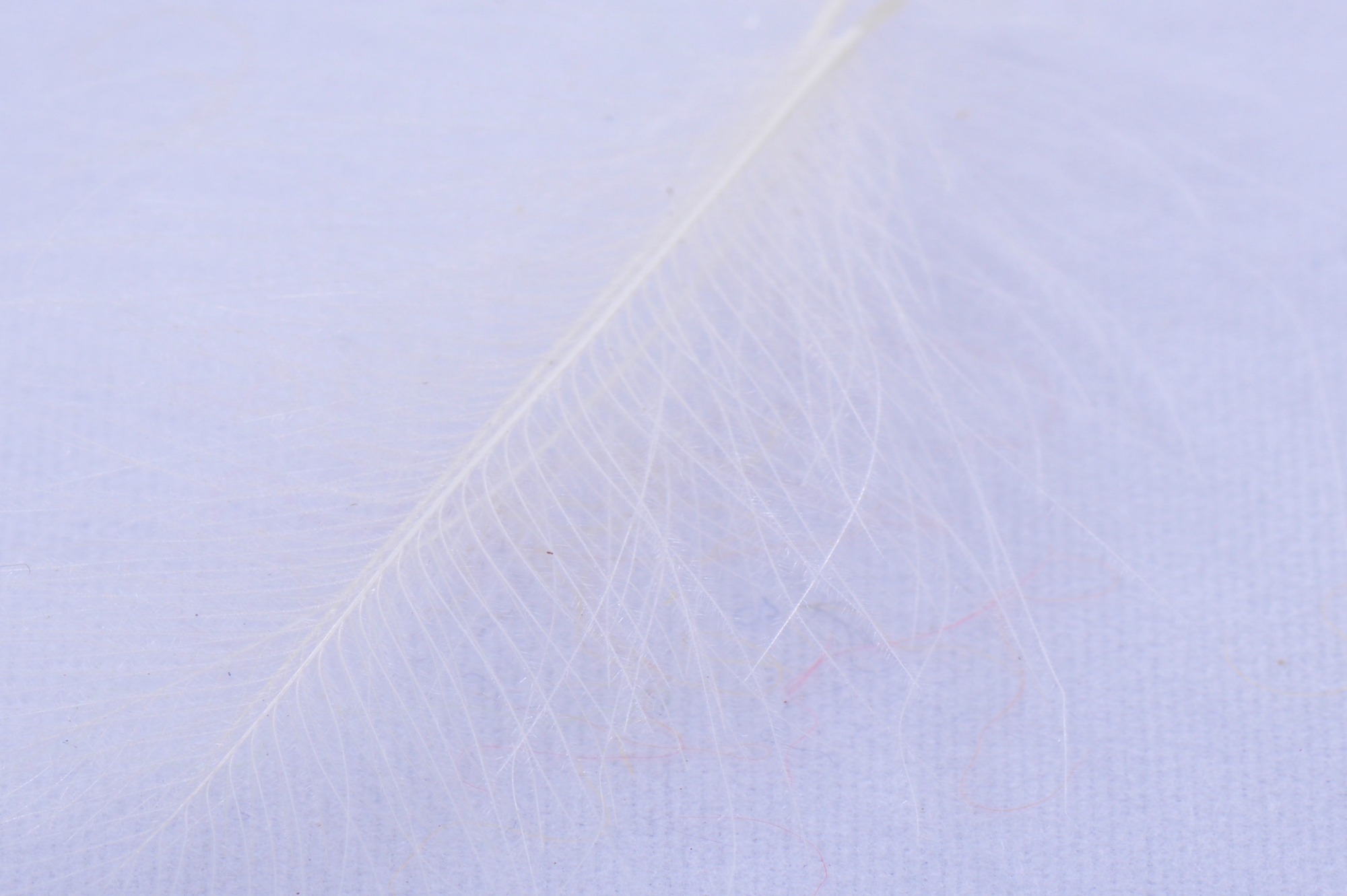 Immagine prodotto: C.D.C SUPERSELECT