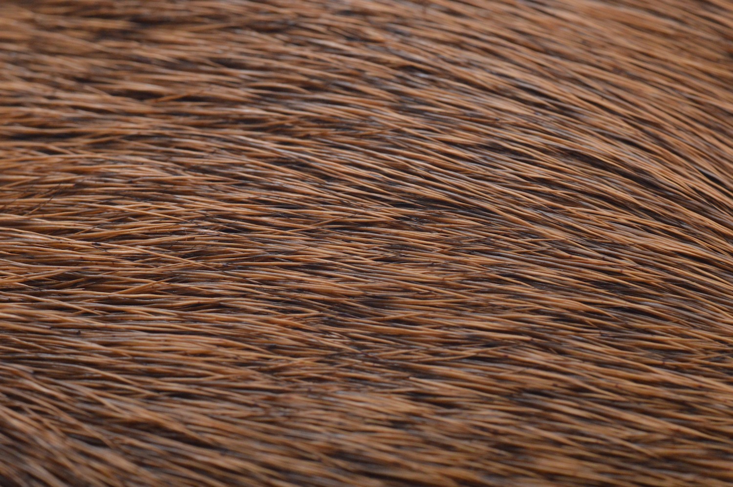 Immagine prodotto: ELK BODY HAIR