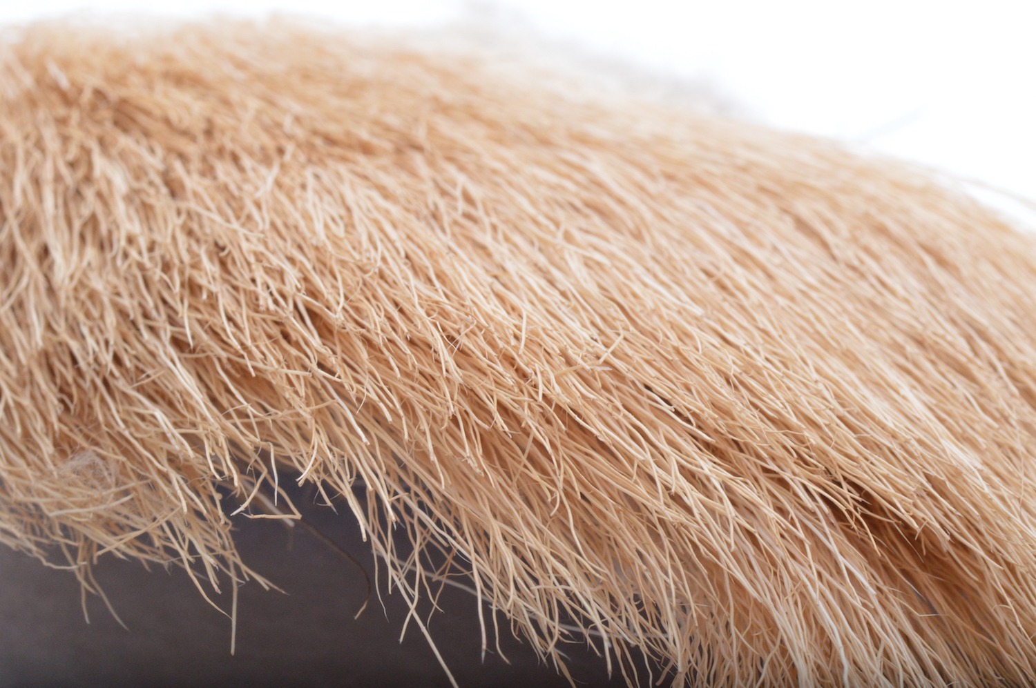 Immagine prodotto: ELK RUMP