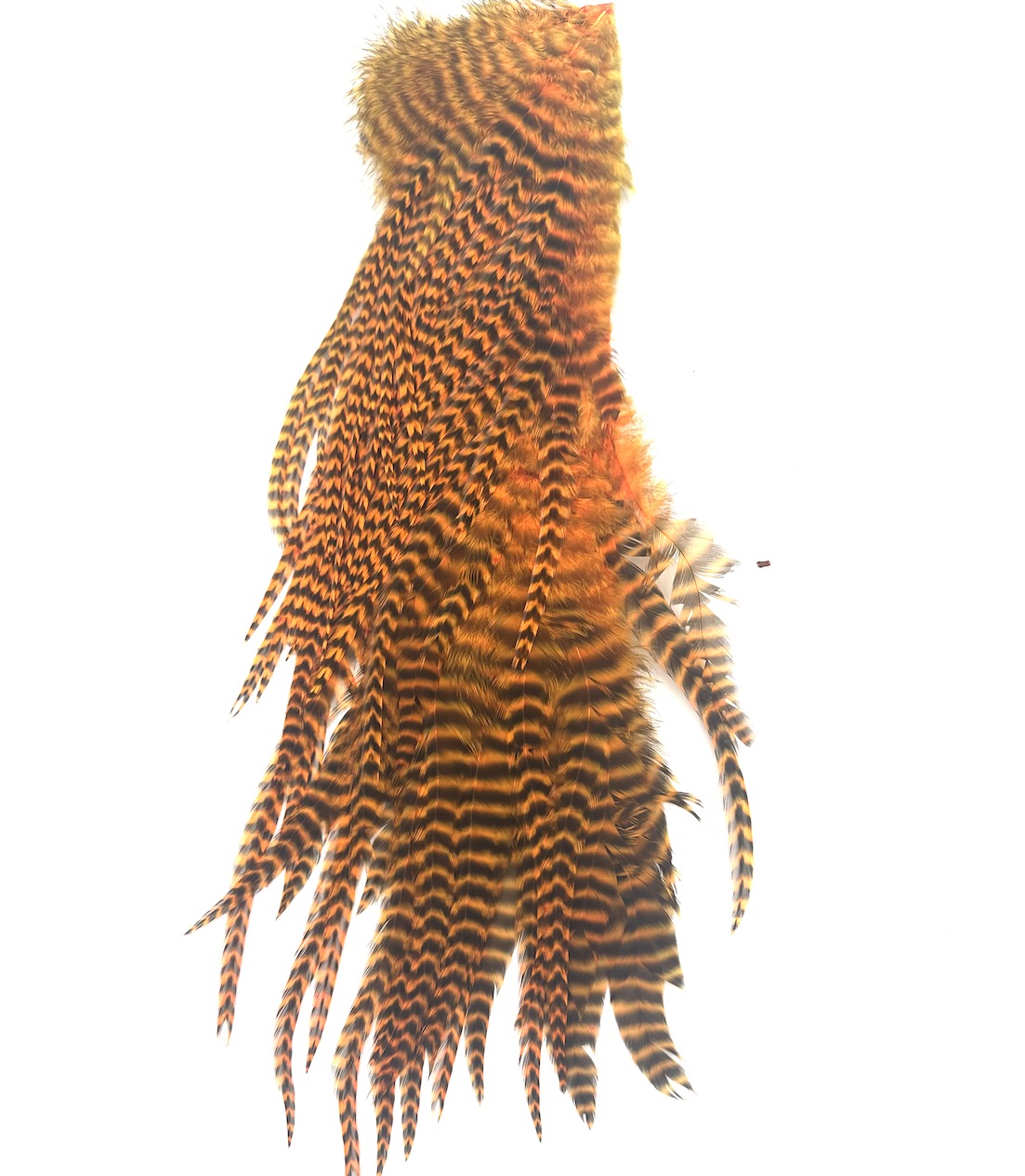 Immagine prodotto: HARELINE HALF SADDLE