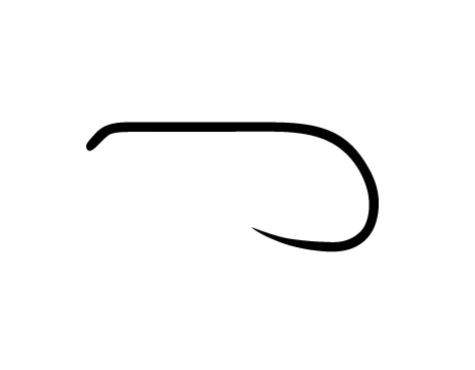 ami da secca e ninfa