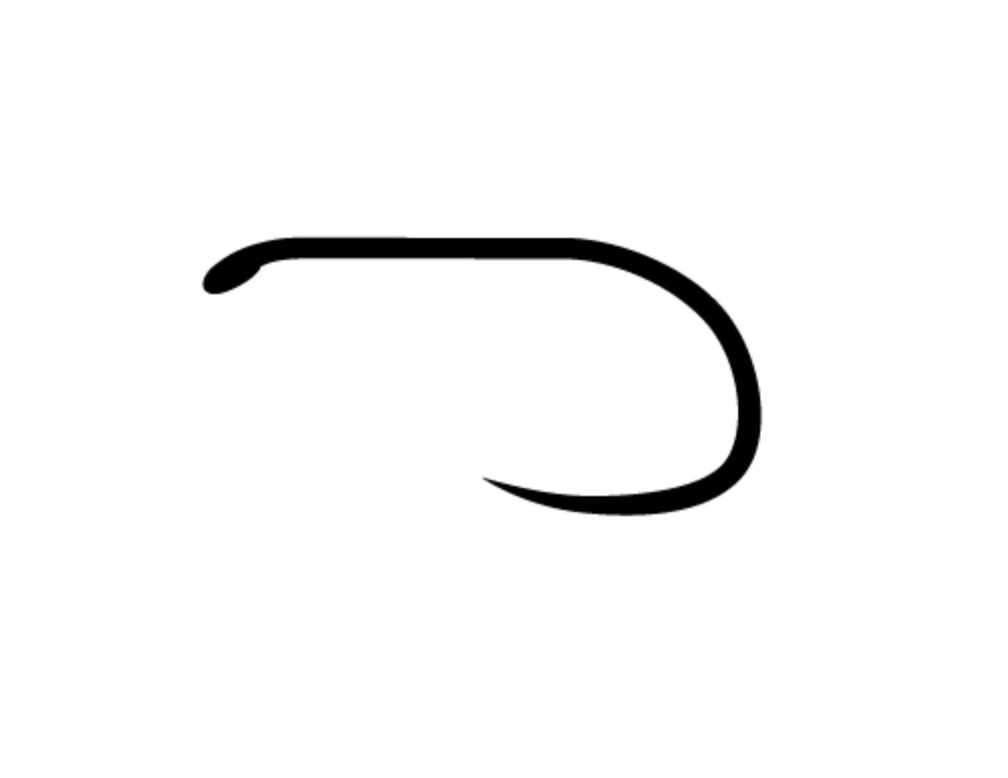 ami da secca e ninfa