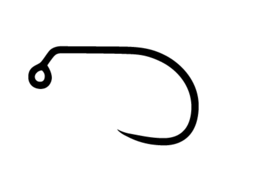 ami da secca e ninfa