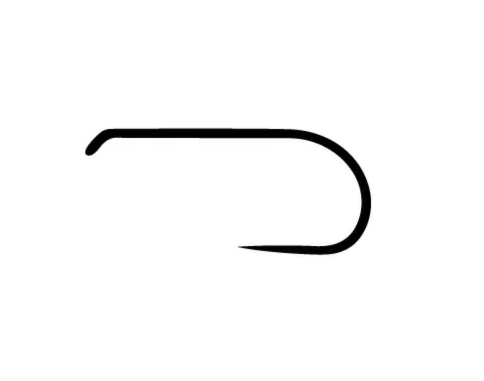 ami da secca e ninfa