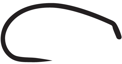 ami da secca e ninfa