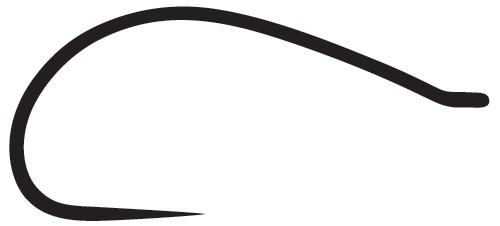 ami da secca e ninfa