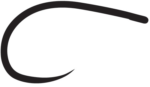 ami da secca e ninfa