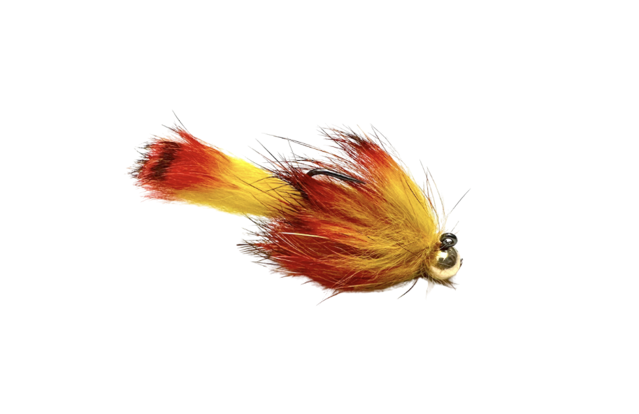 bastardella fire tiger