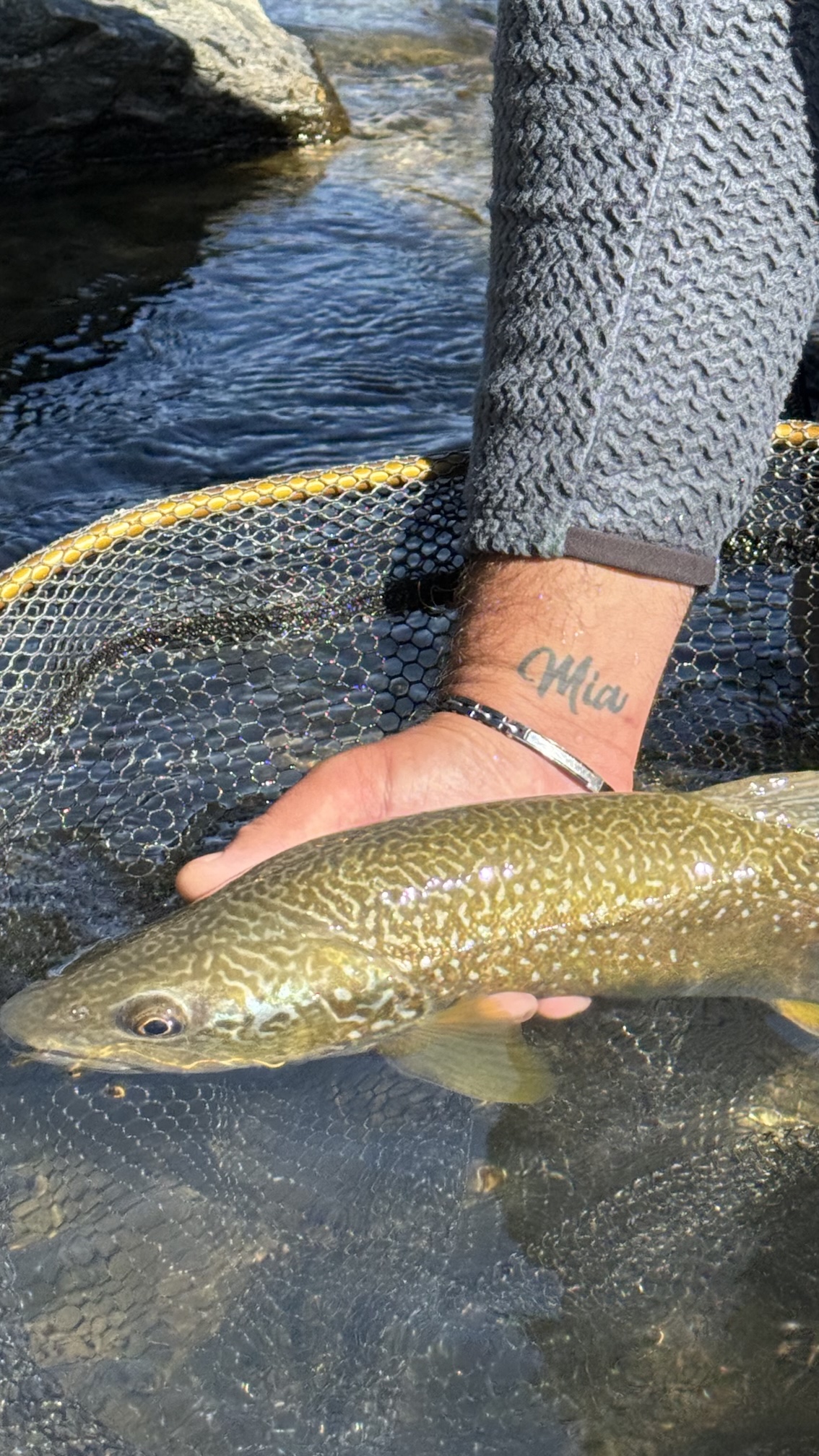 Immagine prodotto: CORSO DI PESCA A NINFA