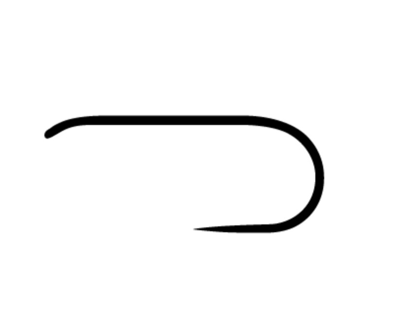 ami da secca e ninfa