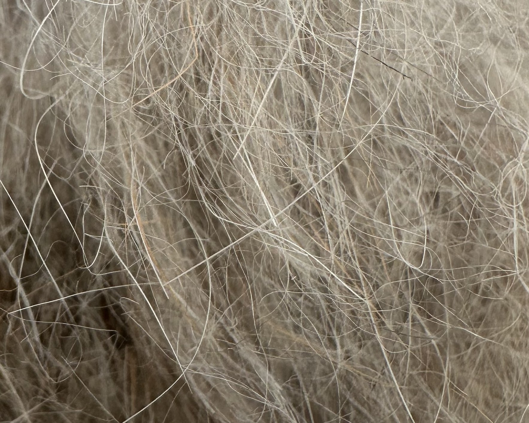 dubbing in pelo di coniglio wapsi