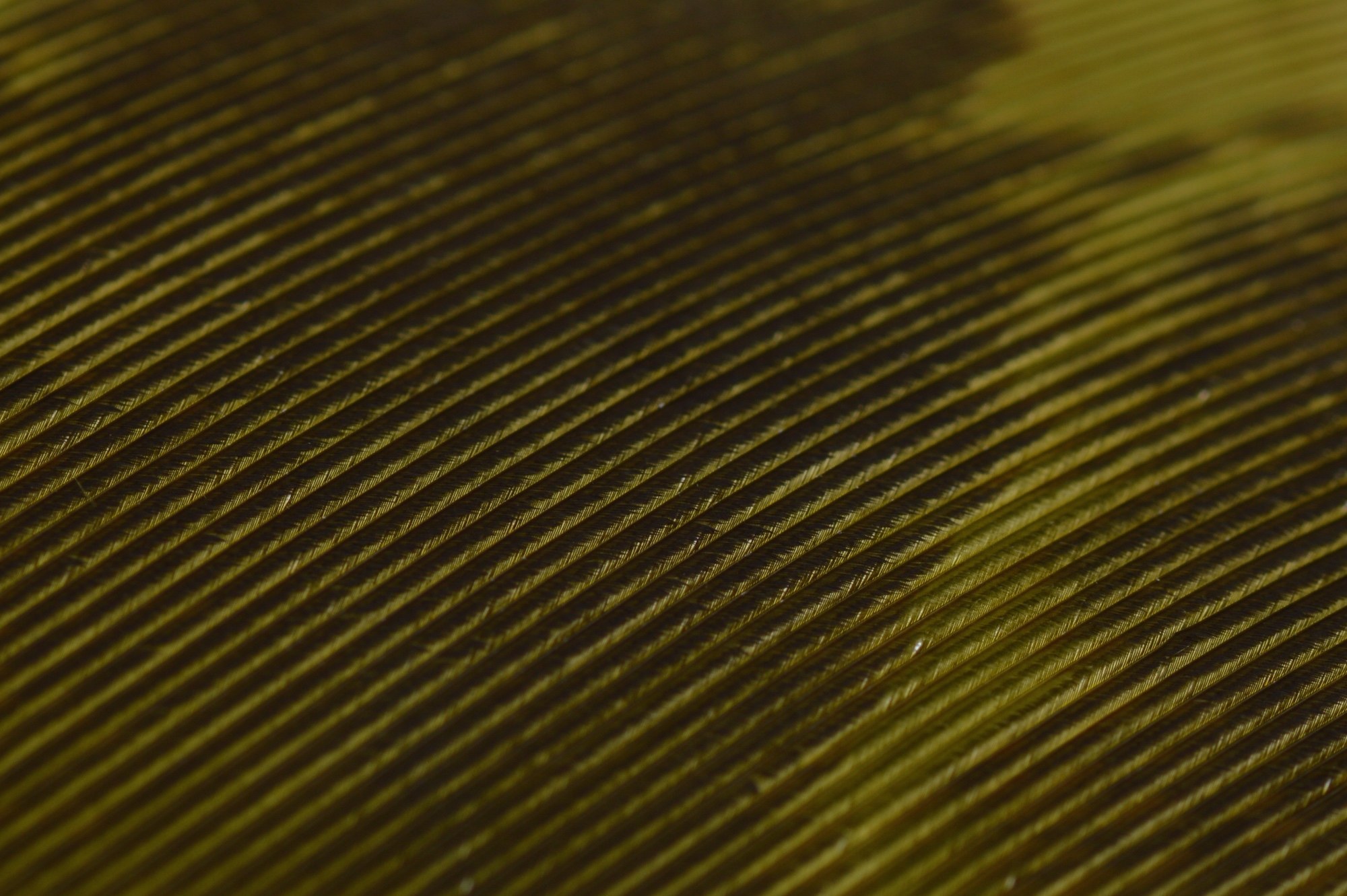 Immagine prodotto: OZARK TURKEY QUILL – Olive