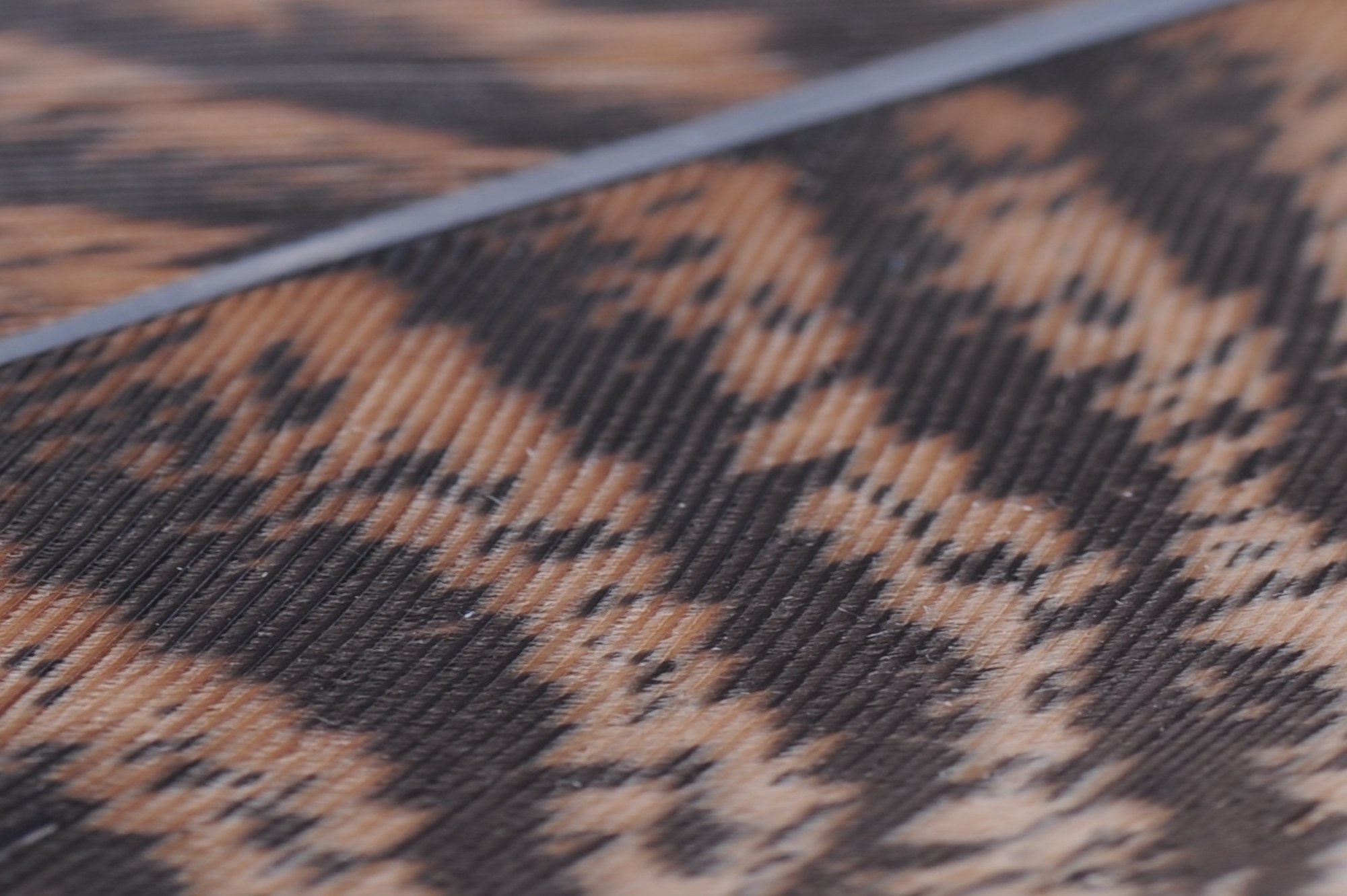 Immagine prodotto: OZARK TURKEY TAIL – Mottled White