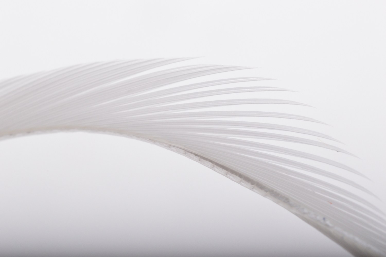 Immagine prodotto: WHITE GOOSE BIOTS