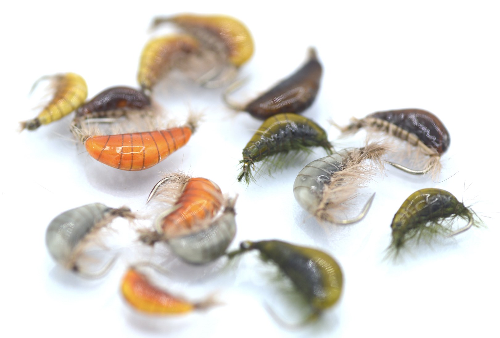 Immagine prodotto: GAMMARUS