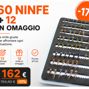 selezione 60 ninfe nuova nuova