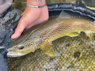 CORSI & GUIDE DI PESCA