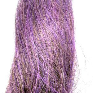 SQUIMPISH PLUM SQUIMPISH PLUM