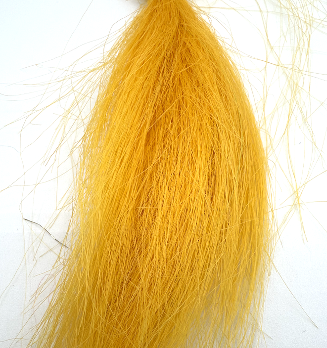 SQUIMPISH SUN YELLOW