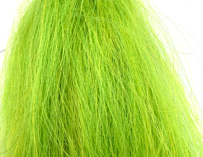 SQUIMPISH FLUO CHARTREUSE