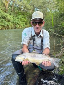 GIULIO MARTINI GIULIO MARTINI