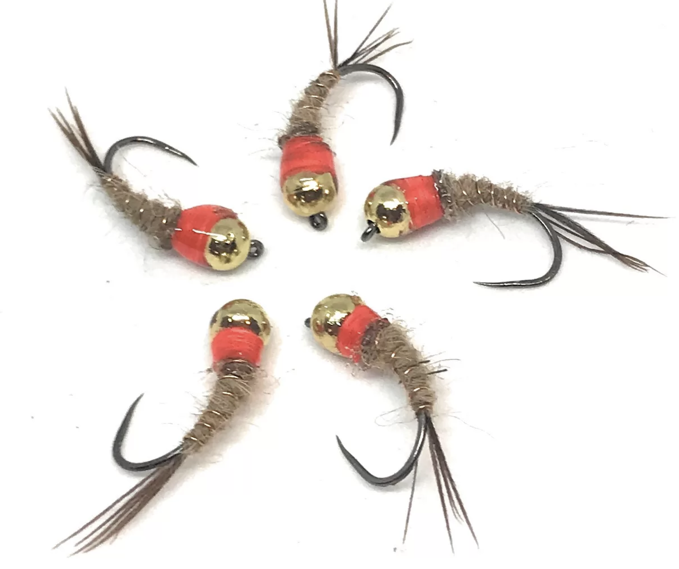 Hare’s Ear Red Collar