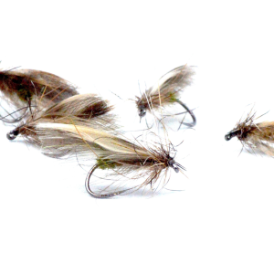 MOSCA SEDGE DUFFY DUCK