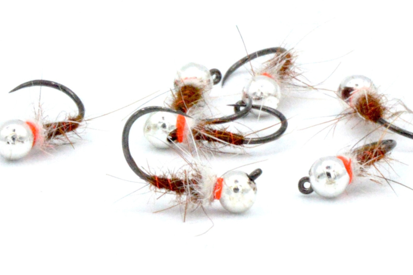 BIANCA & MARRONE RS+