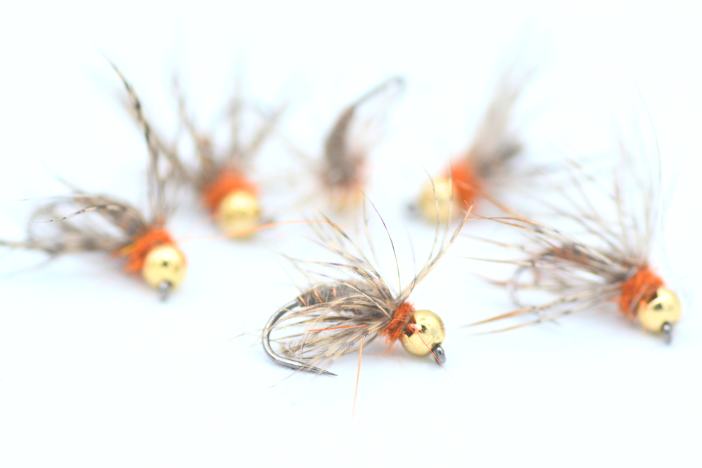 Immagine prodotto: LA PETTIROSSO