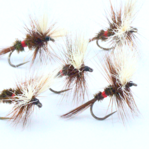 MOsca secca royal wulff1